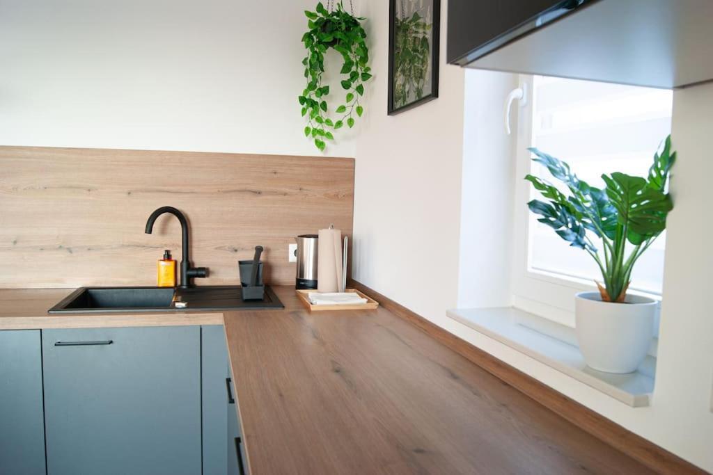 מרבך אם נקר Studio Apartment Marbach מראה חיצוני תמונה